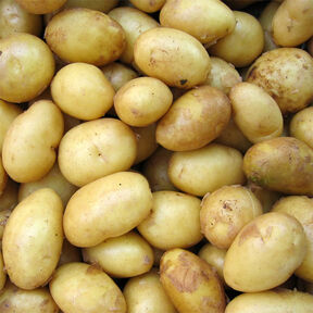 Фото Сколько минут по времени нужно варить молодую картошку в кастрюле после закипания воды