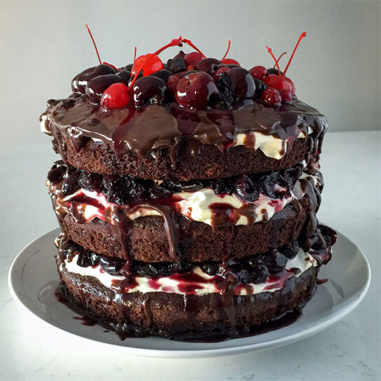 Фото пышного высокого шоколадного бисквита по классическому рецепту