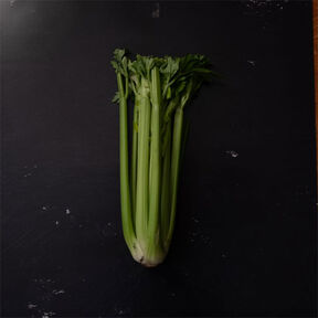 Фото Польза Сельдерея (Корень и Стебли): Что полезно и вкусного и как приготовить из сельдерея?