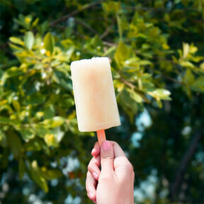 Фото Простое Домашнее Мороженое из Банана в Блендере: Рецепт в Домашних Условиях