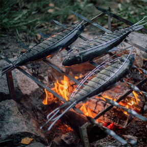 Фото как вкусно замариновать рыбу перед жаркой на мангале: лучшие виды рыбы для барбекю